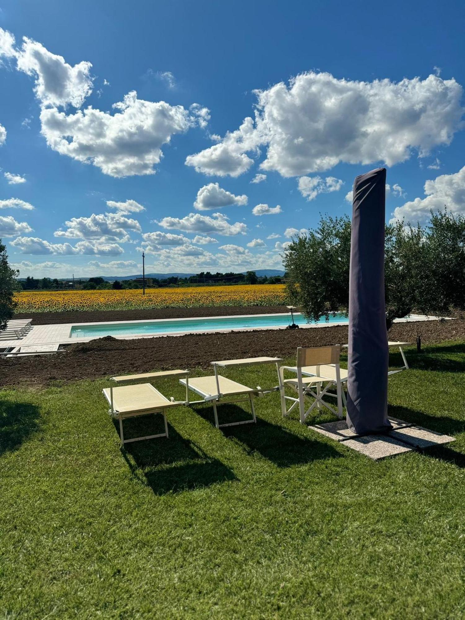 Assisium Agriturismo Экстерьер фото