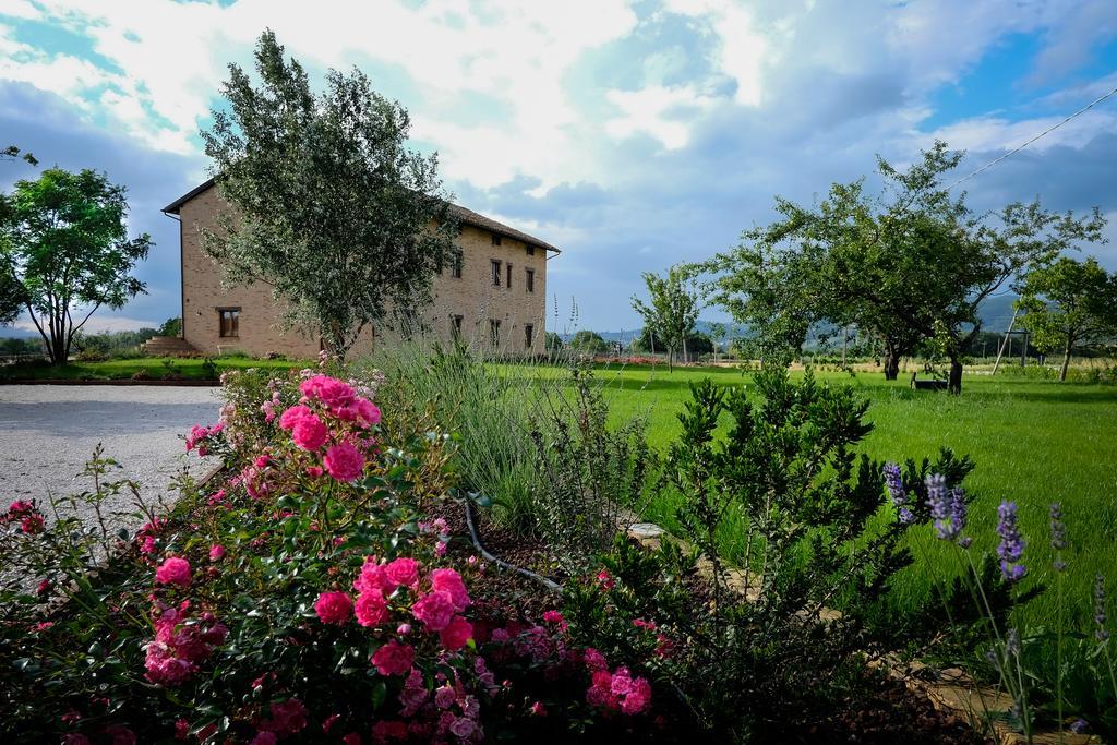 Assisium Agriturismo Экстерьер фото