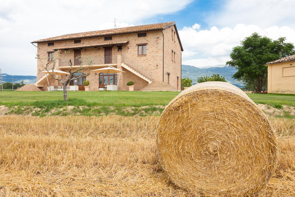 Assisium Agriturismo Экстерьер фото
