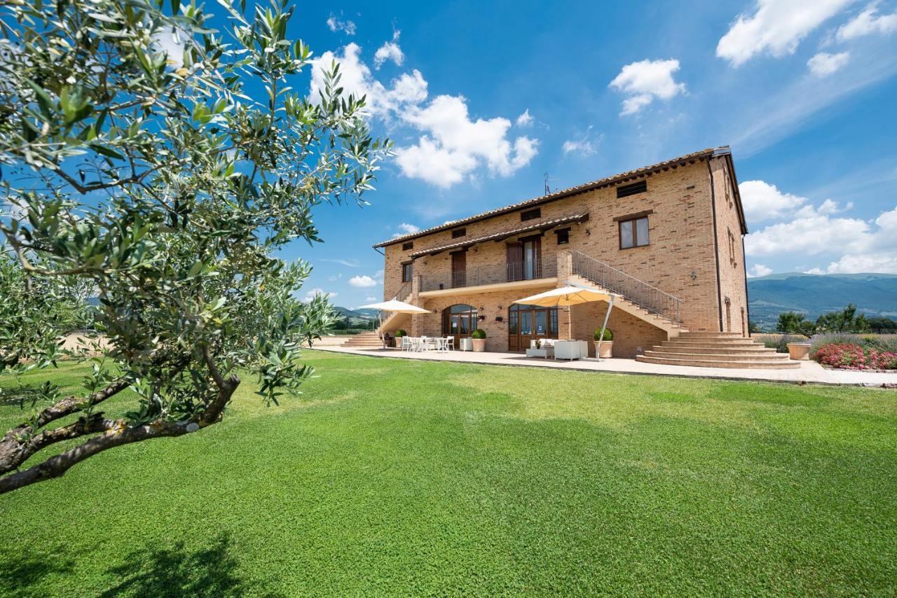 Assisium Agriturismo Экстерьер фото